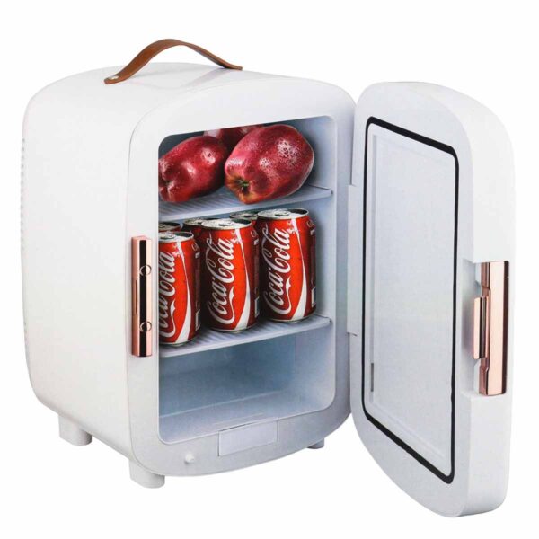 یخچال مسافرتی جیپاس ده لیتری مدل 63052